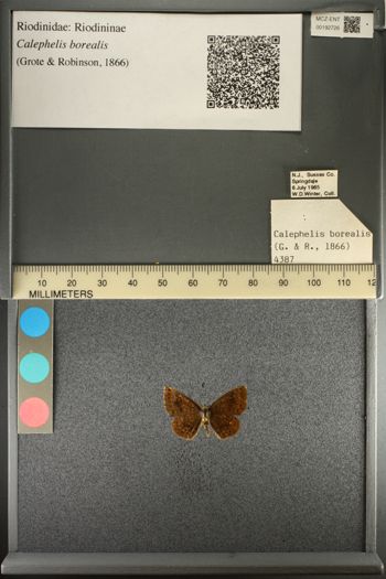 Media type: image;   Entomology 192726